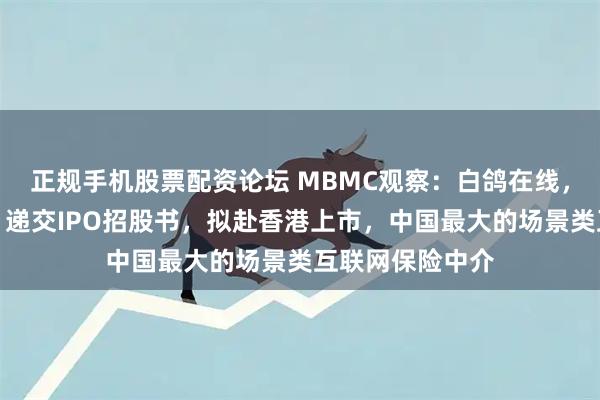 正规手机股票配资论坛 MBMC观察：白鸽在线，来自福建厦门，递交IPO招股书，拟赴香港上市，中国最大的场景类互联网保险中介